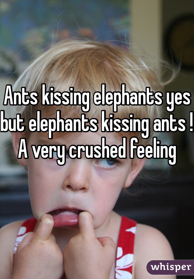 Ants kissing elephants yes but elephants kissing ants ! A very crushed feeling 