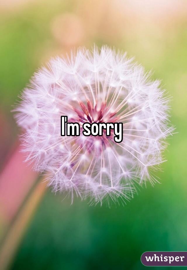 I'm sorry