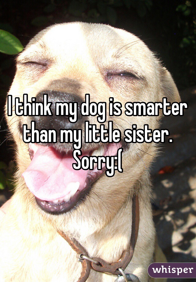 I think my dog is smarter than my little sister. Sorry:(