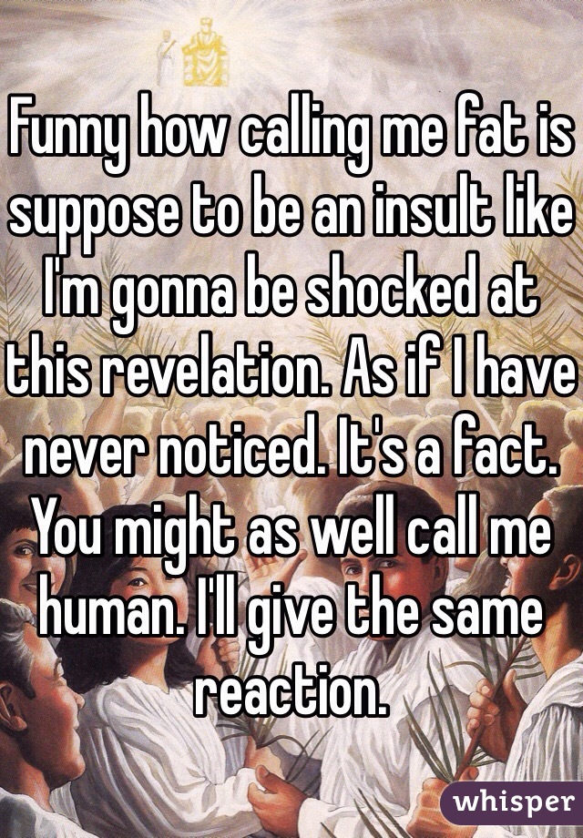 Funny how calling me fat is suppose to be an insult like I'm gonna be shocked at this revelation. As if I have never noticed. It's a fact. You might as well call me human. I'll give the same reaction.  