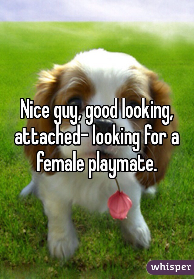 Nice guy, good looking, attached- looking for a female playmate. 
