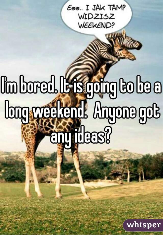 I'm bored. It is going to be a long weekend.  Anyone got any ideas? 