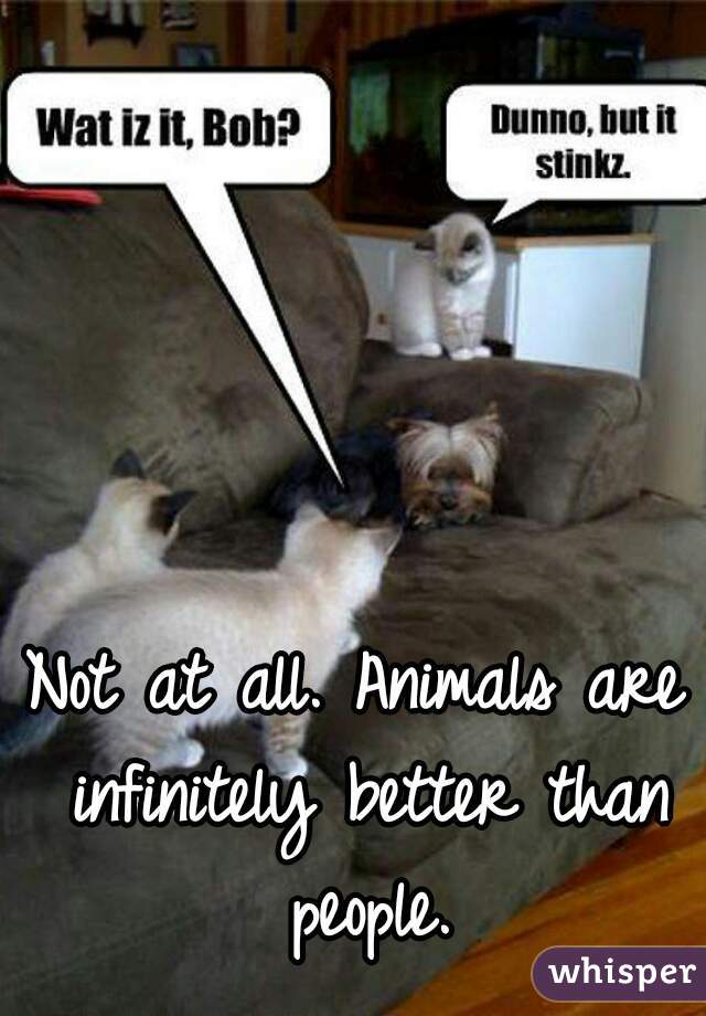 Not at all. Animals are infinitely better than people.