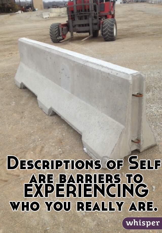 Descriptions of Self are barriers to EXPERIENCING who you really are.  