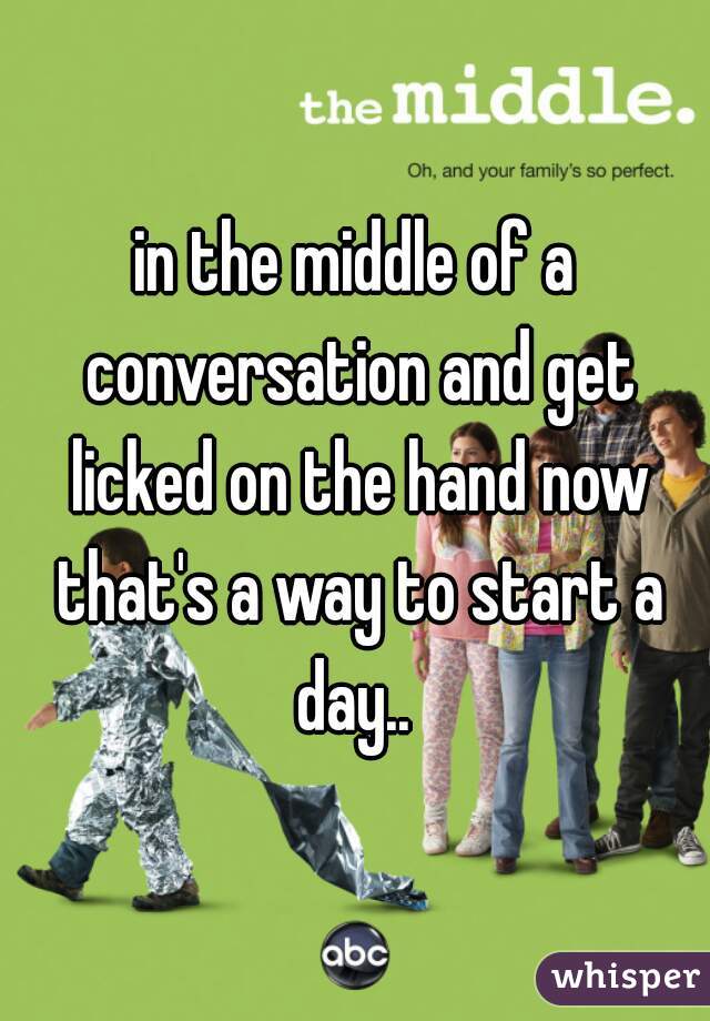 in the middle of a conversation and get licked on the hand now that's a way to start a day.. 