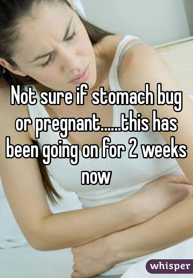 Not sure if stomach bug or pregnant......this has been going on for 2 weeks now 