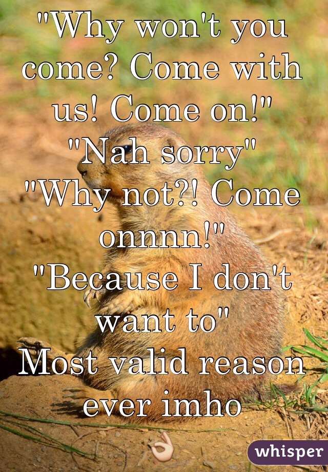 "Why won't you come? Come with us! Come on!"
"Nah sorry"
"Why not?! Come onnnn!"
"Because I don't want to"
Most valid reason ever imho
👌