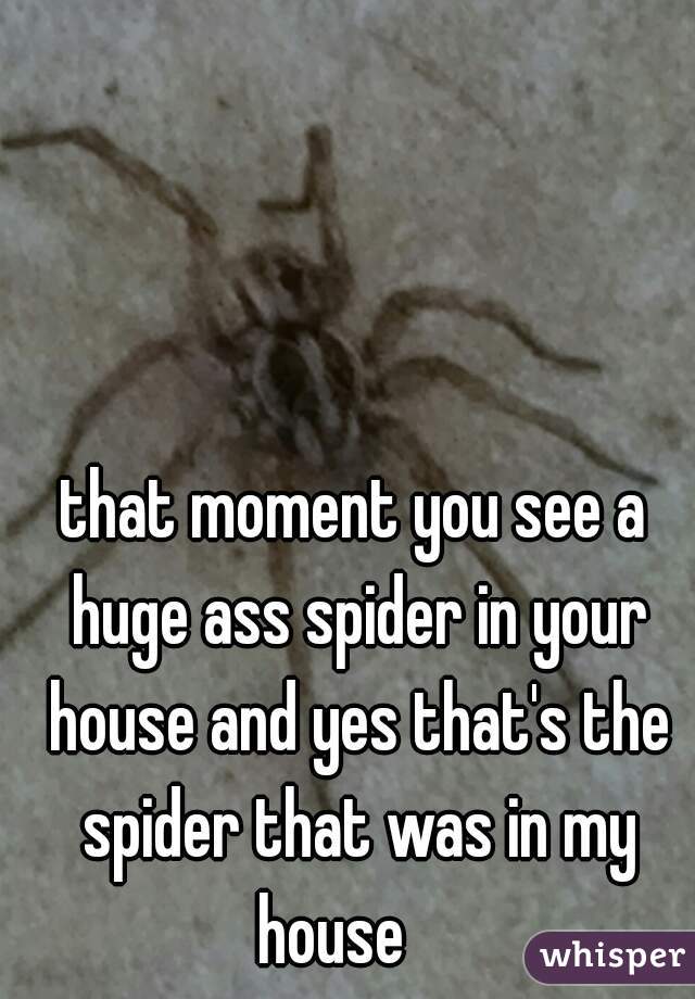 that moment you see a huge ass spider in your house and yes that's the spider that was in my house    