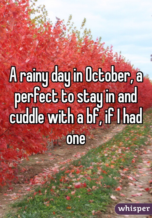 A rainy day in October, a perfect to stay in and cuddle with a bf, if I had one 