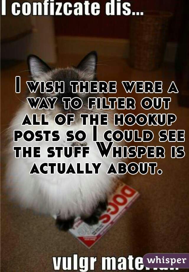 I wish there were a way to filter out all of the hookup posts so I could see the stuff Whisper is actually about. 