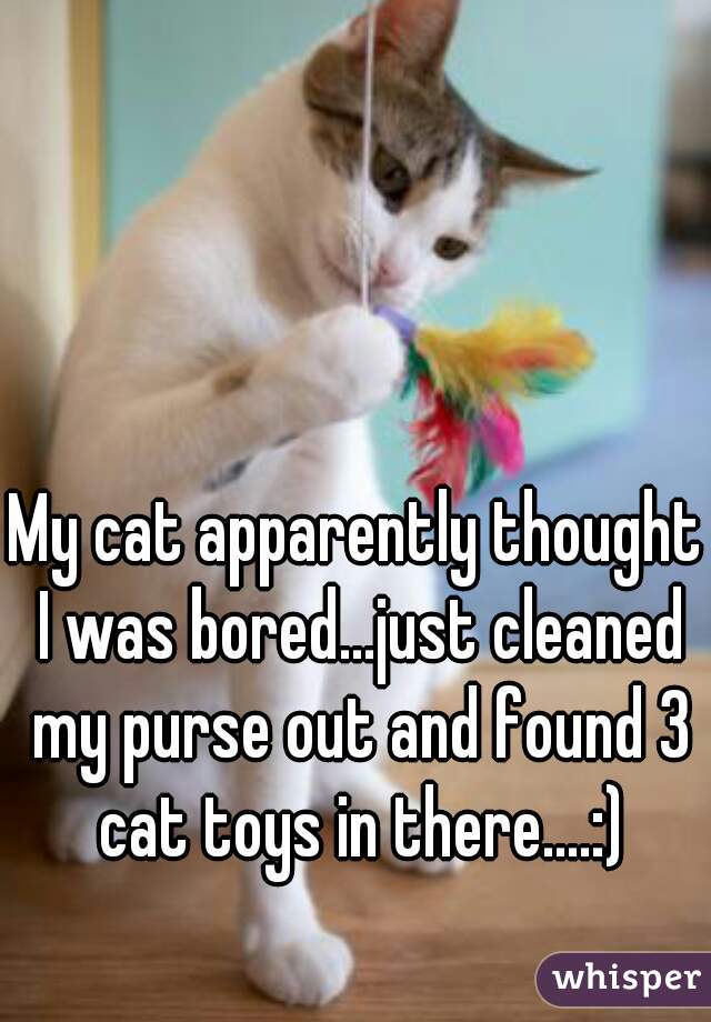 My cat apparently thought I was bored...just cleaned my purse out and found 3 cat toys in there....:)