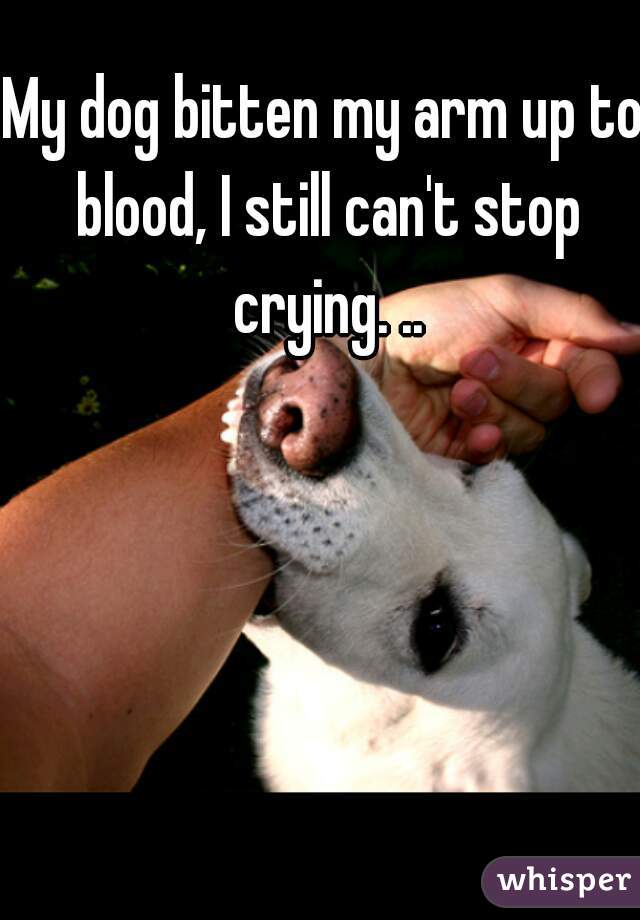 My dog bitten my arm up to blood, I still can't stop crying. ..