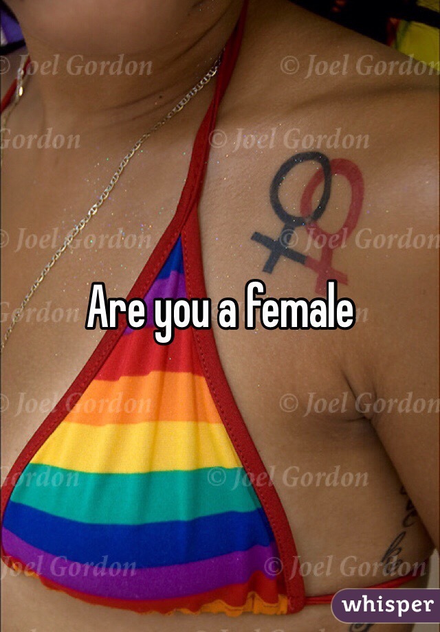 Are you a female 