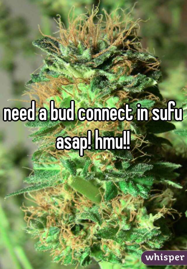 need a bud connect in sufu asap! hmu!! 