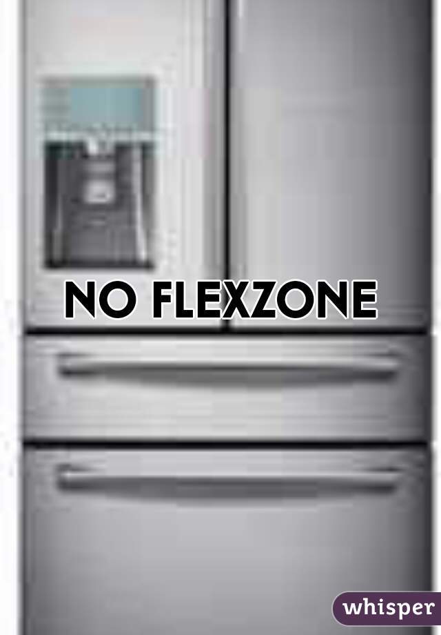 NO FLEXZONE 