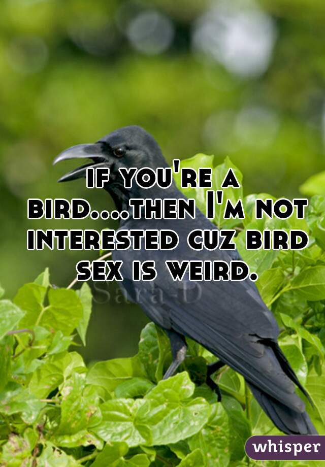 if you're a bird....then I'm not interested cuz bird sex is weird.