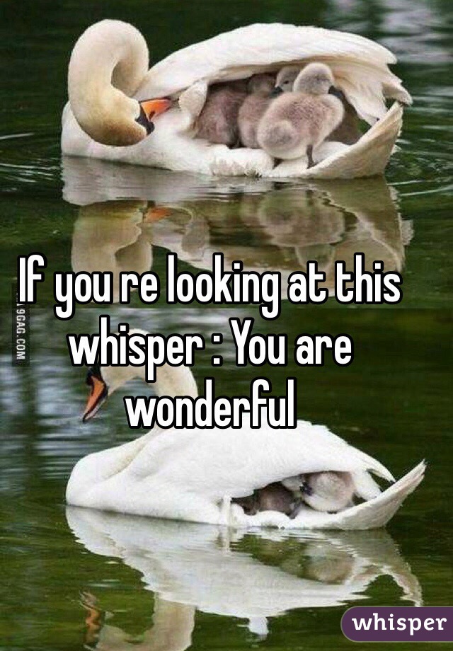 If you re looking at this whisper : You are wonderful