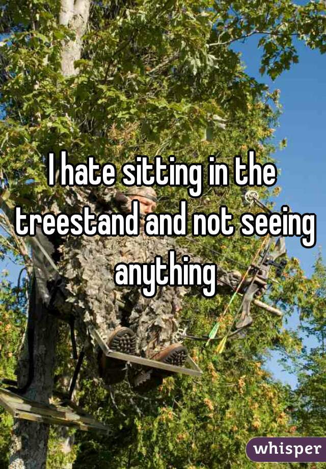 I hate sitting in the treestand and not seeing anything