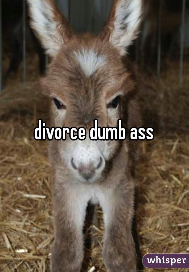 divorce dumb ass