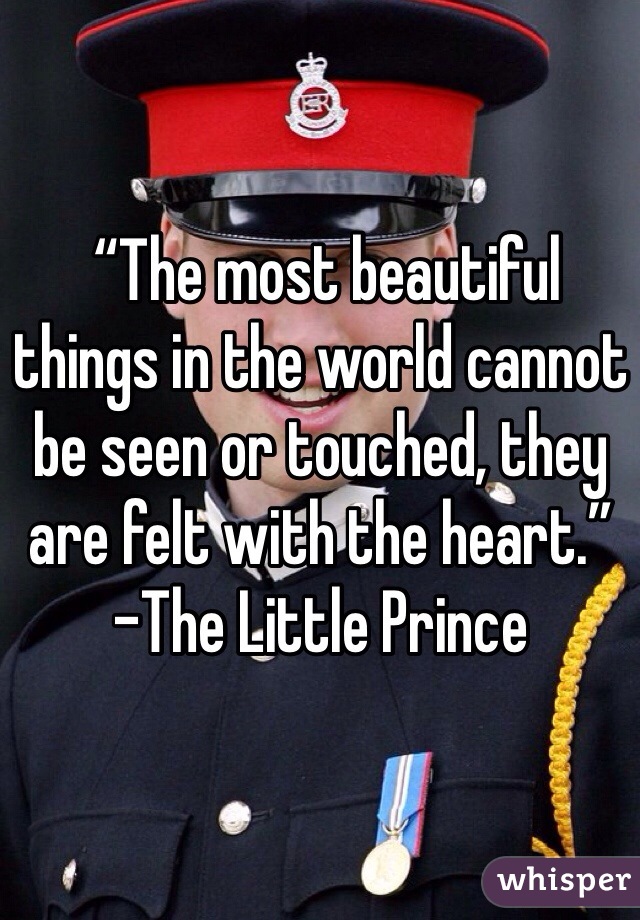  “The most beautiful things in the world cannot be seen or touched, they are felt with the heart.”   -The Little Prince