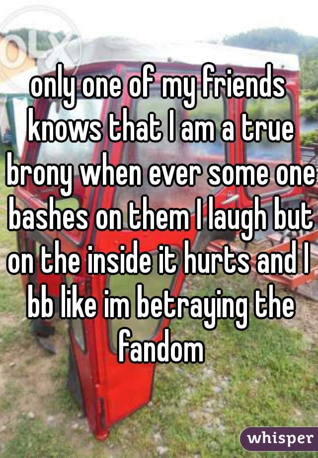 only one of my friends knows that I am a true brony when ever some one bashes on them I laugh but on the inside it hurts and I  bb like im betraying the fandom