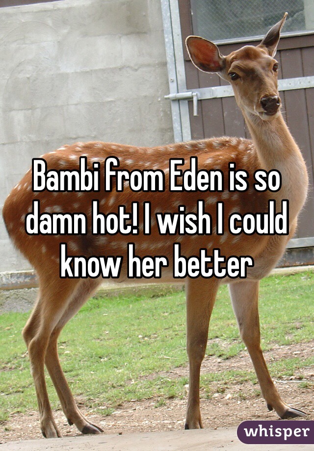 Bambi from Eden is so damn hot! I wish I could know her better 