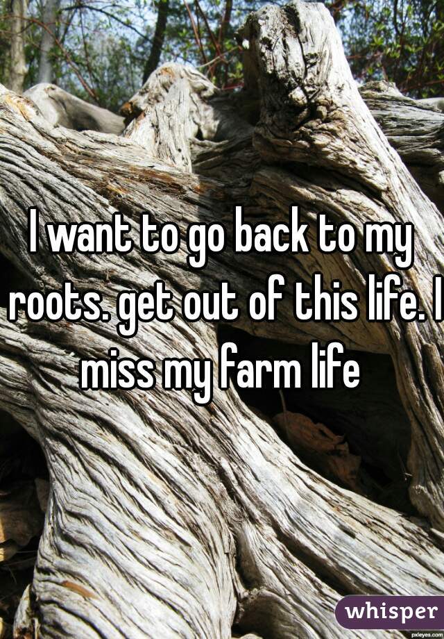 I want to go back to my roots. get out of this life. I miss my farm life 