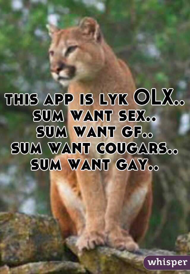 this app is lyk OLX..
sum want sex..
sum want gf..
sum want cougars..
sum want gay..