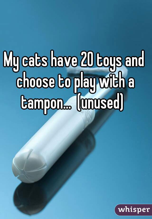 My cats have 20 toys and choose to play with a tampon...  (unused)  