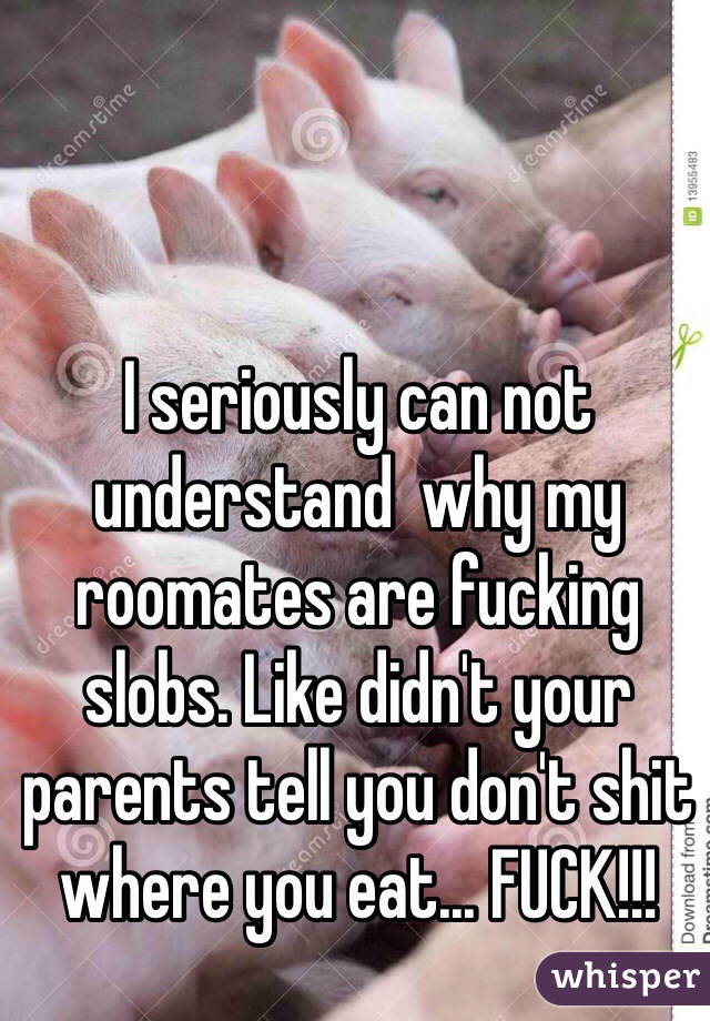 I seriously can not understand  why my roomates are fucking slobs. Like didn't your parents tell you don't shit where you eat... FUCK!!! 