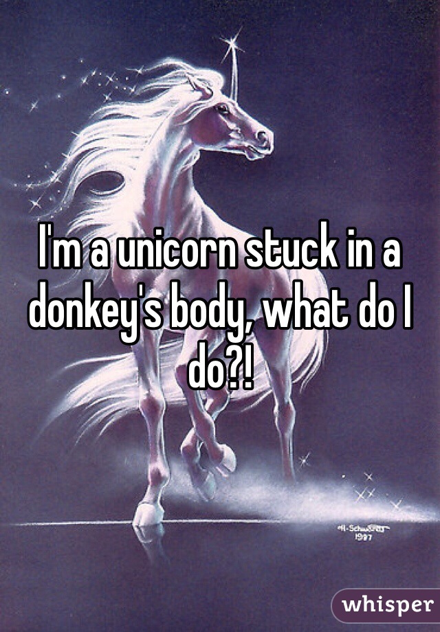 I'm a unicorn stuck in a donkey's body, what do I do?!