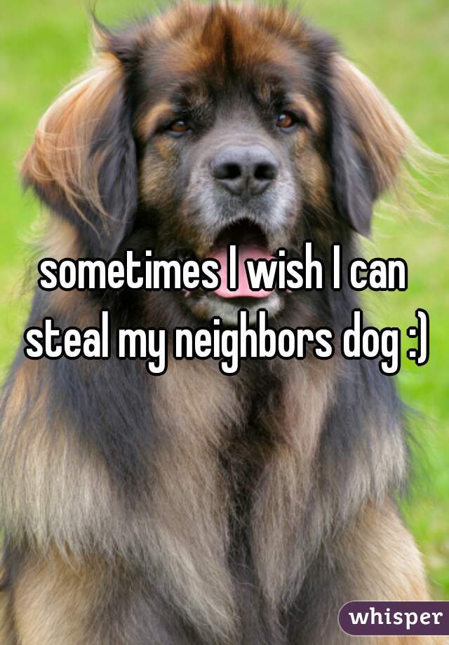 sometimes I wish I can steal my neighbors dog :)