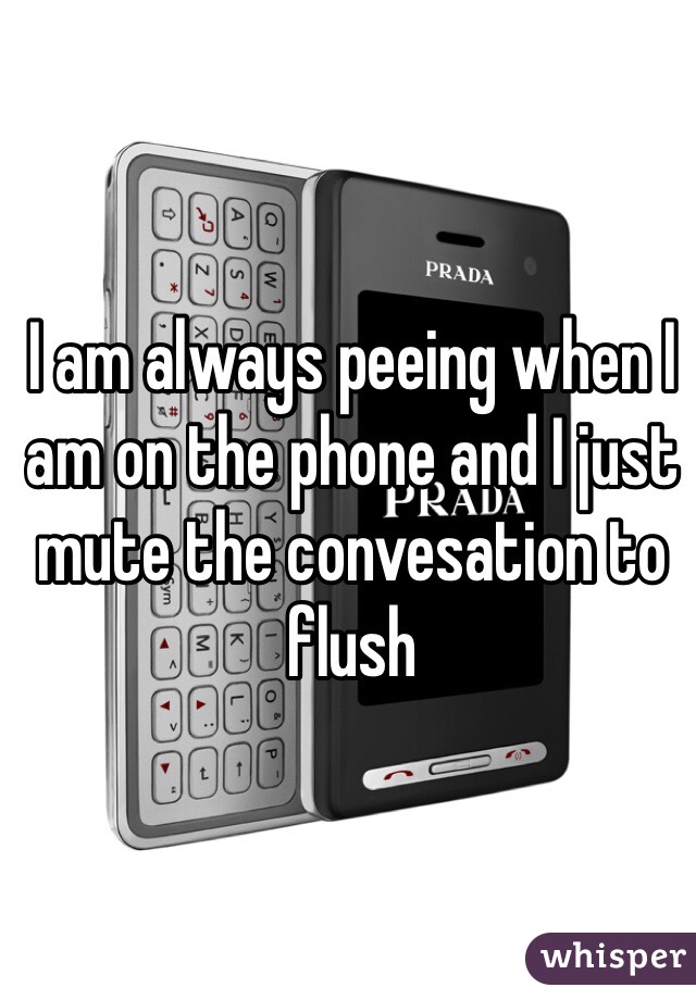 I am always peeing when I am on the phone and I just mute the convesation to flush 