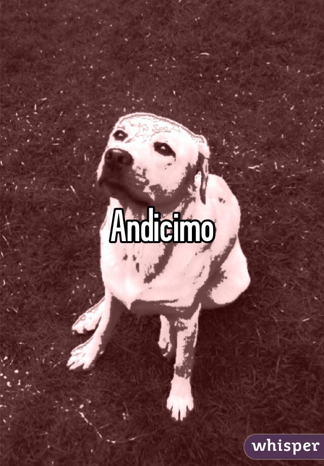 Andicimo