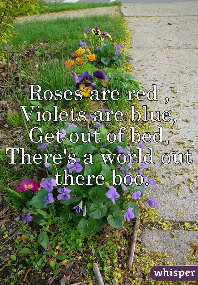 Roses are red ,
Violets are blue,
Get out of bed,
There's a world out there boo.