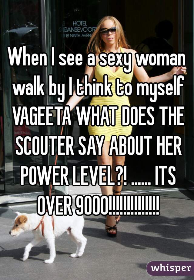 When I see a sexy woman walk by I think to myself VAGEETA WHAT DOES THE SCOUTER SAY ABOUT HER POWER LEVEL?! ...... ITS OVER 9000!!!!!!!!!!!!!!