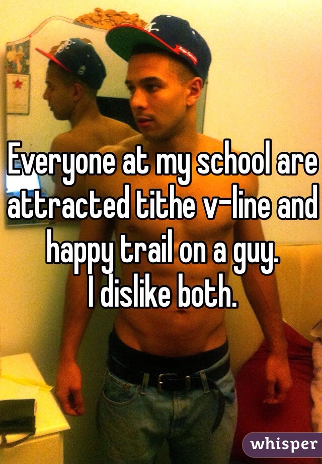 Everyone at my school are attracted tithe v-line and happy trail on a guy. 
I dislike both. 