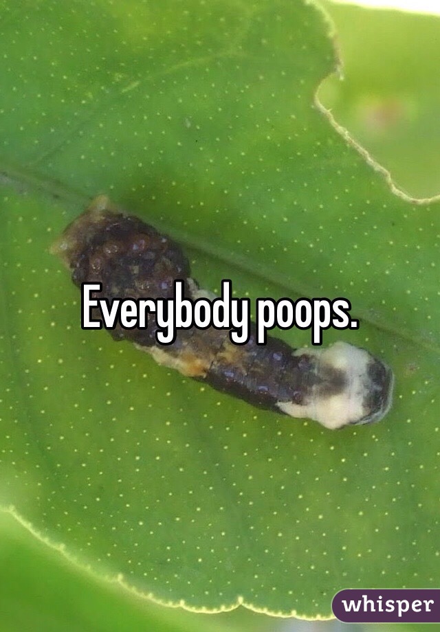 Everybody poops.