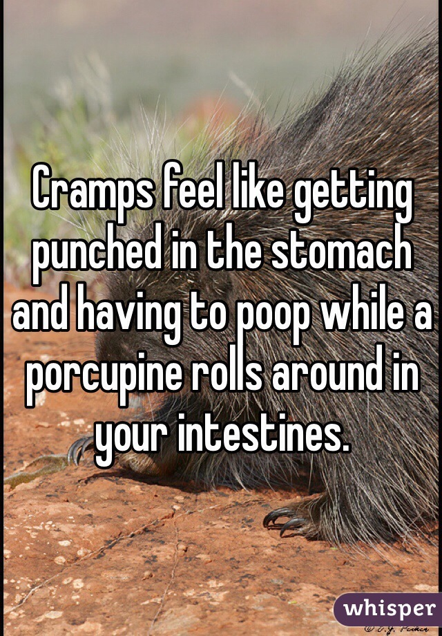 Cramps feel like getting punched in the stomach and having to poop while a porcupine rolls around in your intestines.