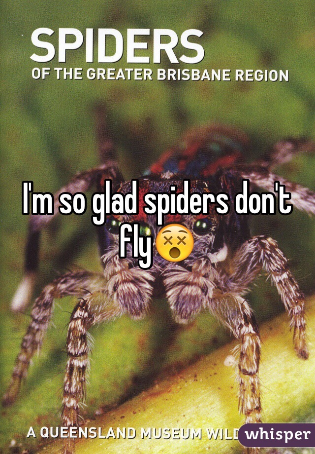 I'm so glad spiders don't fly😵