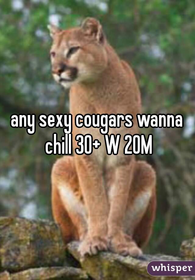 any sexy cougars wanna chill 30+ W 20M