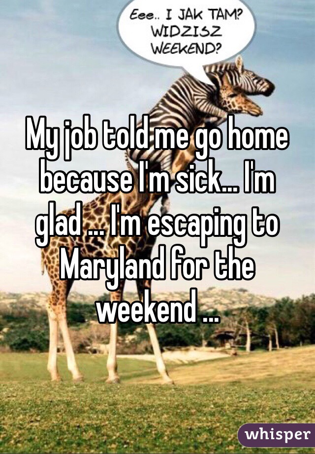 My job told me go home because I'm sick... I'm glad ... I'm escaping to Maryland for the weekend ... 