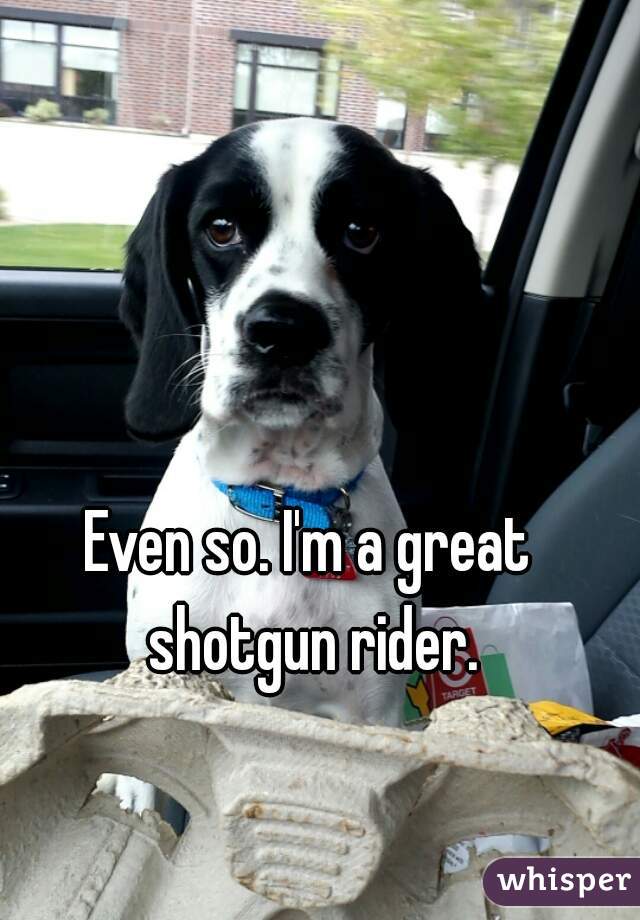 Even so. I'm a great shotgun rider.