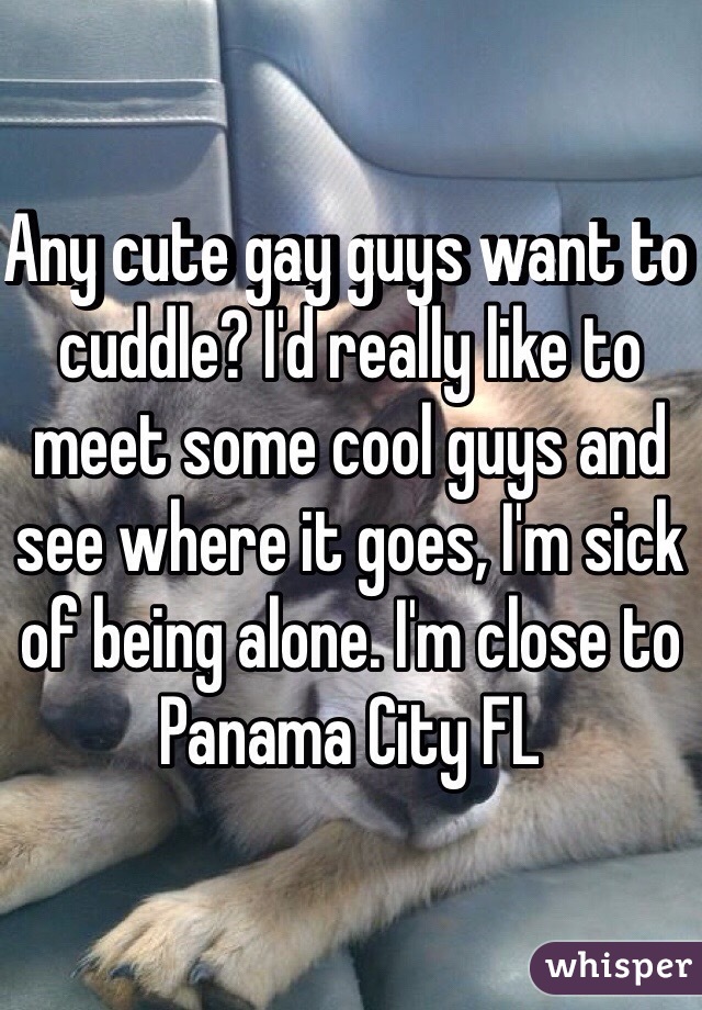 Any cute gay guys want to cuddle? I'd really like to meet some cool guys and see where it goes, I'm sick of being alone. I'm close to Panama City FL