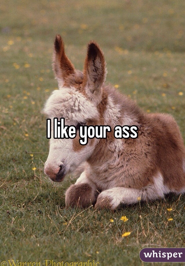 I like your ass