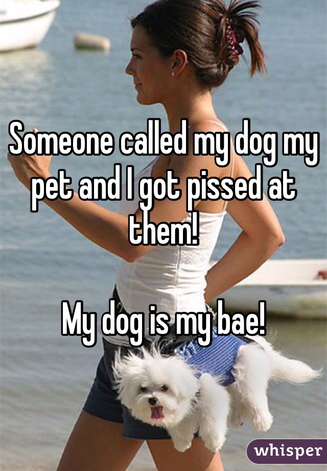 Someone called my dog my pet and I got pissed at them!

My dog is my bae!