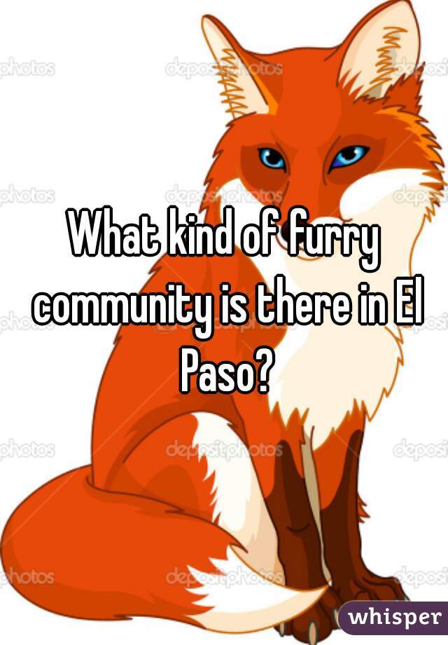 What kind of furry community is there in El Paso?