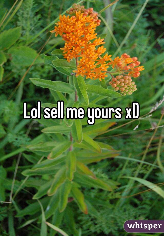 Lol sell me yours xD