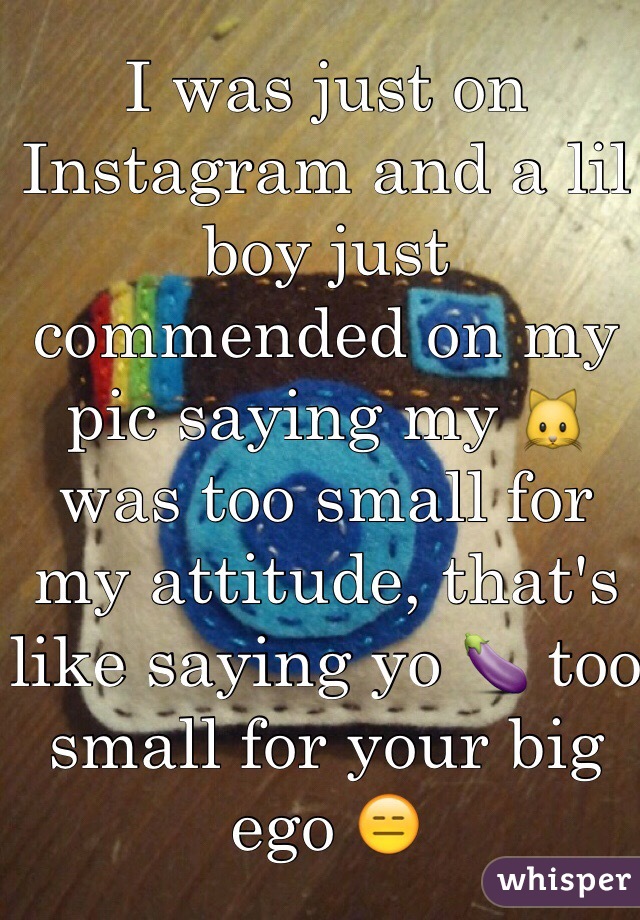 I was just on Instagram and a lil boy just commended on my pic saying my 🐱 was too small for my attitude, that's like saying yo 🍆 too small for your big ego 😑