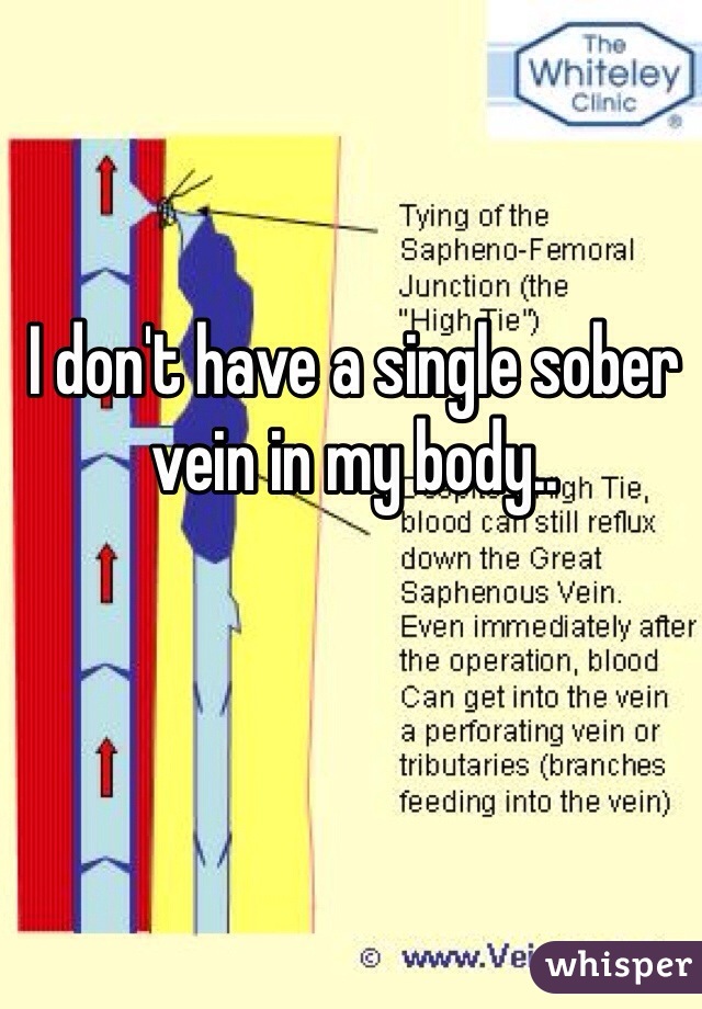 I don't have a single sober vein in my body..